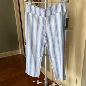 Blue and White Striped Pants Size 14           Zac & Rachel